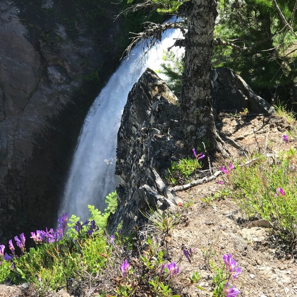 kristiwheele777